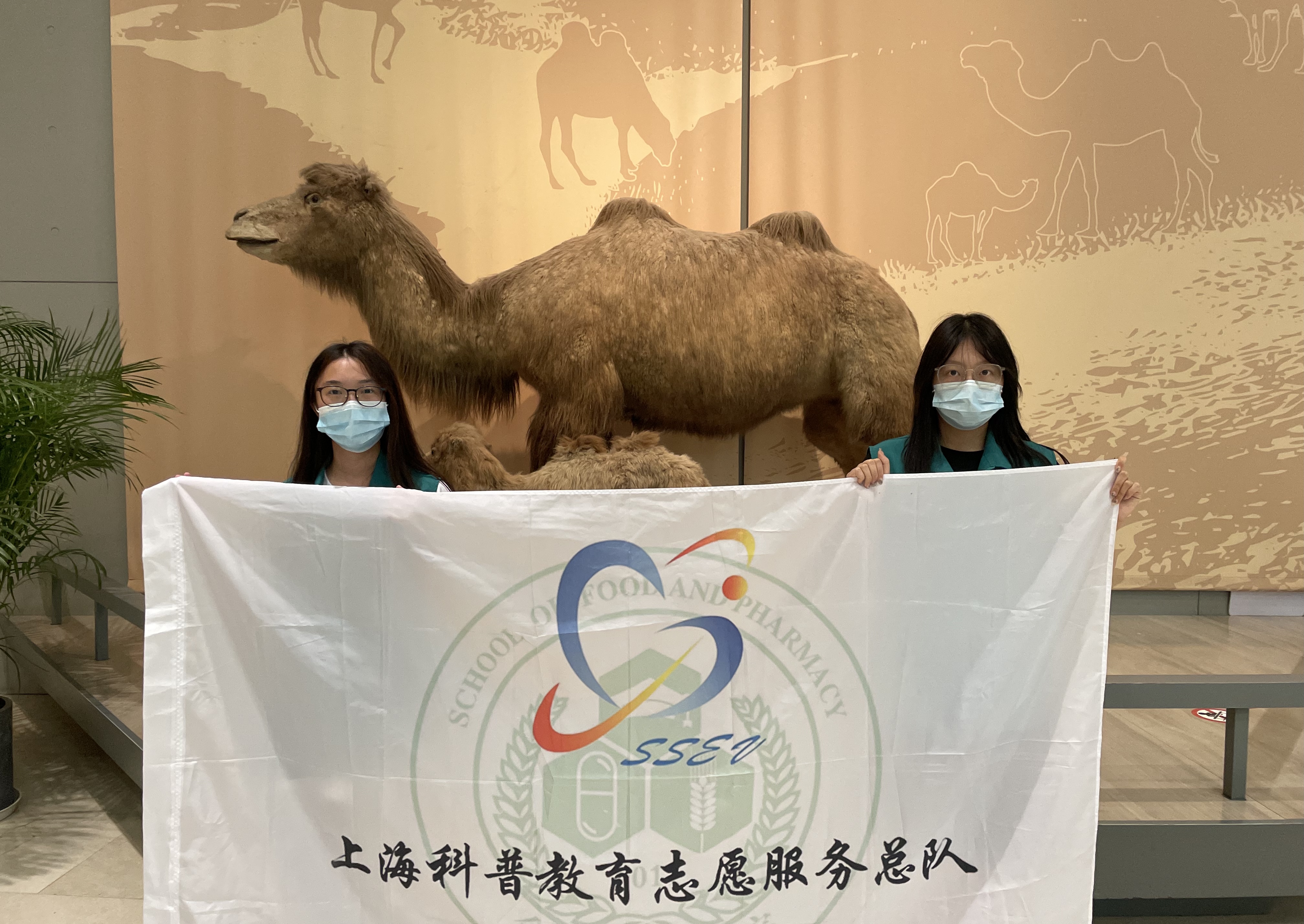 活动图片
